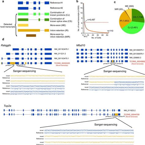 Unannotated Transcripts In Mescs A The Schematic Showing The 5 Types