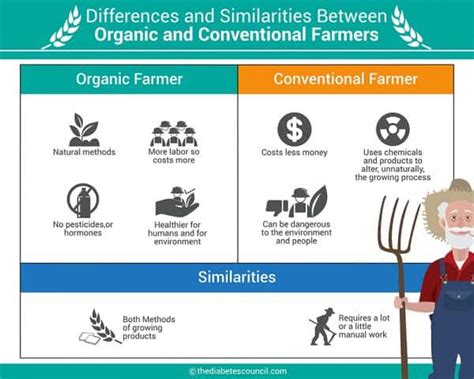 Organic Foods Vs Regular Conventional Food What Is The Difference