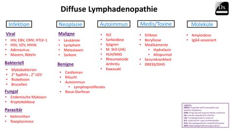 Diffuse Lymphadenopathie The Clinical Problem Solvers