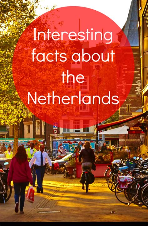 70 fun facts that are good to know when you travel to the netherlands travel articles travel