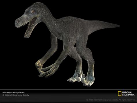 Velociraptor Sea Monsters Wiki Fandom Powered By Wikia