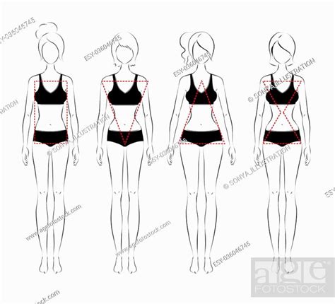 Line Art Vector Illustration Of Female Body Types Stock Vector Vector And Low Budget Royalty