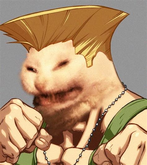 Guile Kot Know Your Meme