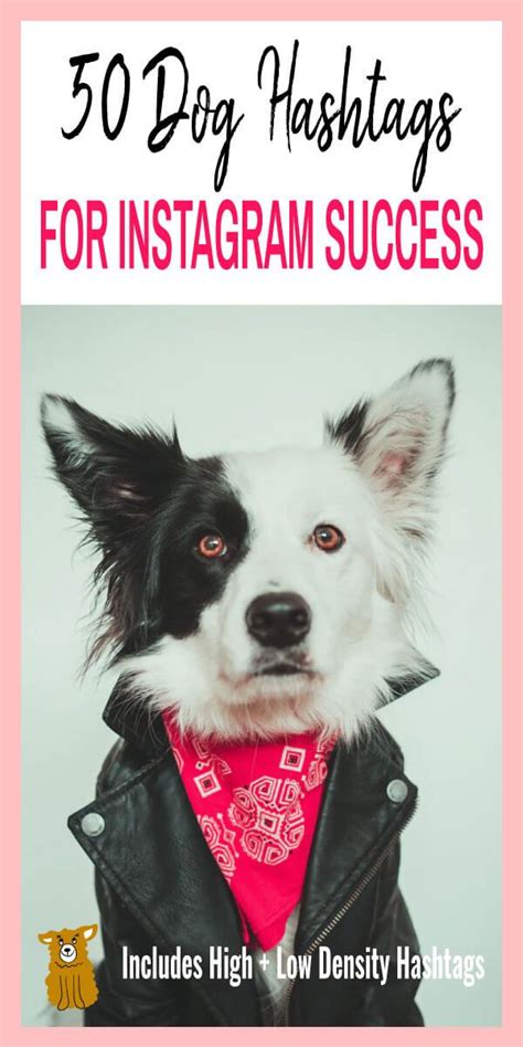 Check spelling or type a new query. 50 Dog Hashtags For Instagram Success | Dog hashtags ...
