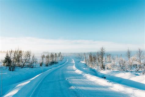 Blue Scandinavian Winter Landscape With Mysterious Fog On Sunny By
