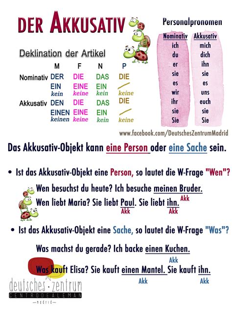 Der Akkusativ Deutsch Wortschatz Grammatik German Daf Alem N Vocabulario Deutsch Lernen