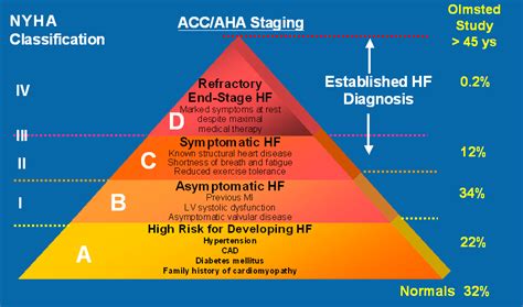 Understanding Symptoms And Stages Of Heart Failure