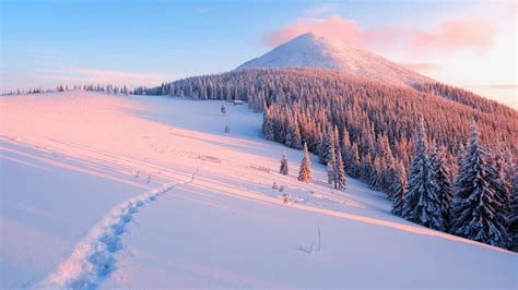 Snow 4k Wallpapers For Your Desktop Or Mobile Screen Free And Easy To