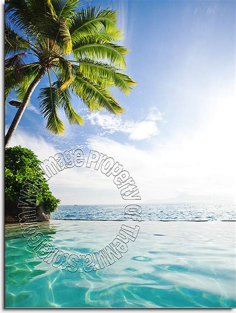 Tropical Lagoon Wall Mural Mid Size Wall Murals The Mural Store