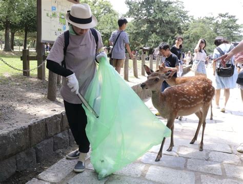 9 Deer Die After Eating Plastic Bags In Japan Khabarhub