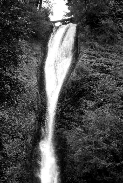 Horsetail Falls In The Columbia River Gorge National Scenic Park