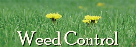 What you assume to be rats in your roof could. Weed Control - Frankfort Park District