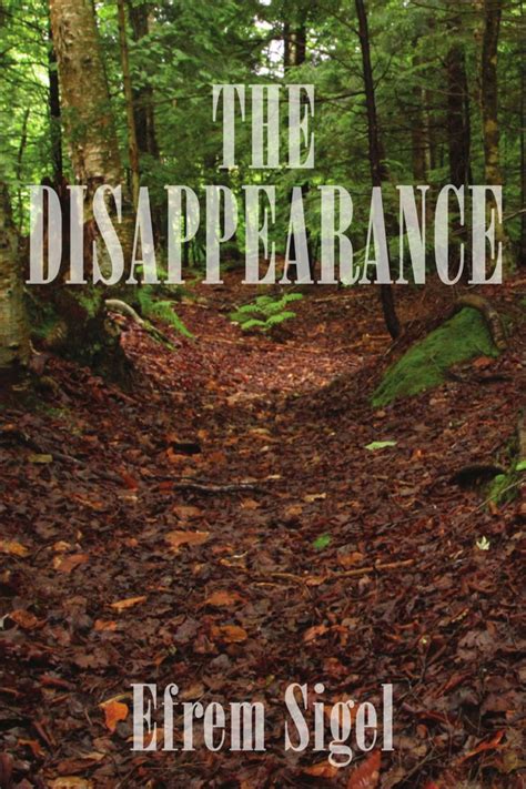 The Disappearance The Writers Press