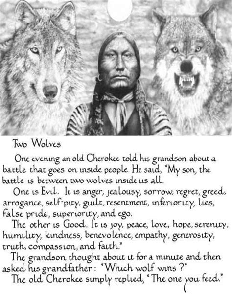 Two Wolves Which One Do You Feed Amused Quotes Two Wolves Life