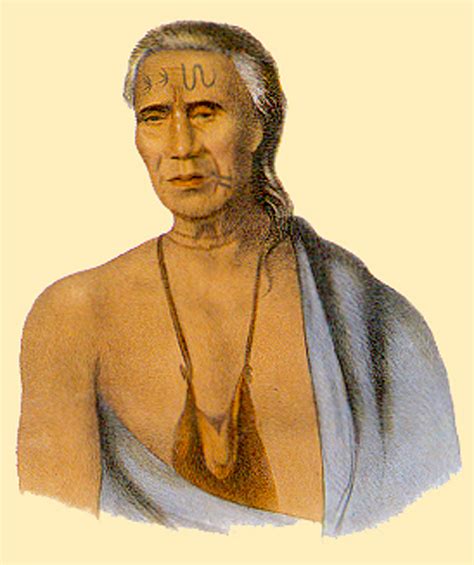 John Harris Project Native Preamericans American Indian Wars Native