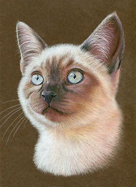 Supercoloring.com is a super fun for all ages: "How to Draw a Cat" - Karen Hull, color pencils on toned paper {Siamese feline animal ...