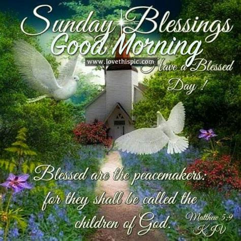 Sunday Blessings Good Morning Pictures Photos And Images For