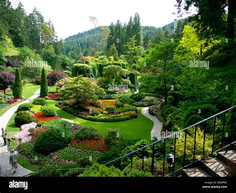 The Sunken Garden In The Butchart Gardens Near Victoria On Vancouver