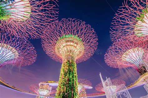 Singapore November 25 2018 Night View Of Supertrees At Gardens By