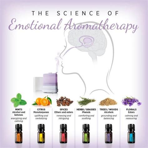 Dōterra Emotional Aromatherapy Touch Kit Doterra Essential Oils
