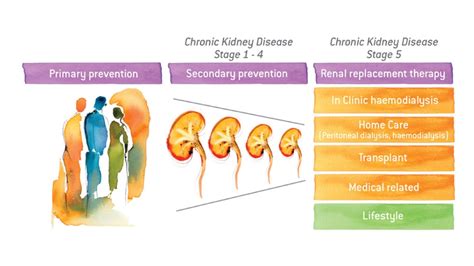 Chronic Kidney Disease Stages