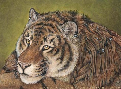 Tiger Tigers Fan Art 24591848 Fanpop Animal Drawings Furry Art