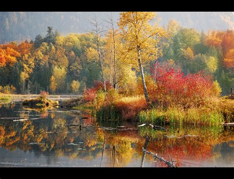 Sfondi Alberi Paesaggio Colorato Acqua Natura Rosso Riflessione