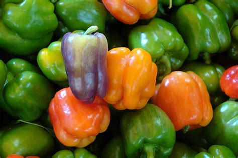 Bell peppers are botanically fruits, but are generally considered in culinary contexts to be vegetables. Bell Pepper: Zero In Heat, But Not In Flavor - PepperScale