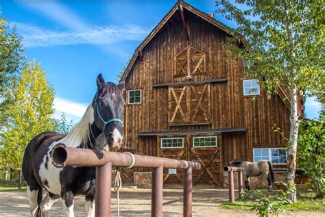 Real Estate Roundup: Saddle Up, Partner! - C&I magazine | Ranches for