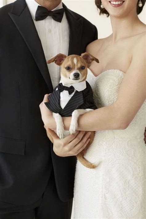 Tips For Including Your Dog In Your Wedding Wedding Pets Dog Wedding