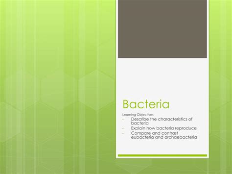 Ppt Bacteria Powerpoint Presentation Free Download Id2016079
