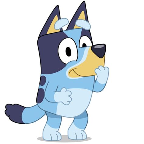Bluey The Cartoon Character