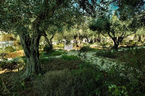 Church Of All Nations Gethsemane Jerusalem Travel Past 50