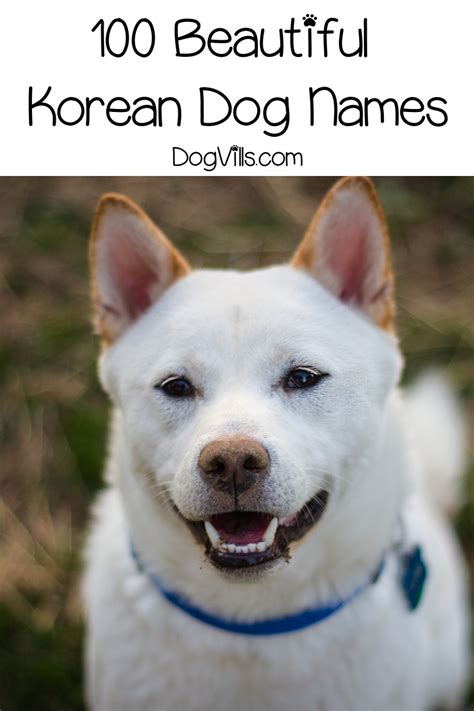 How to say i forgive you. 100 Beautiful Korean Dog Names - http://www.dogvills.com