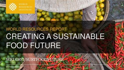 World Resources Report Creating A Sustainable Food Future