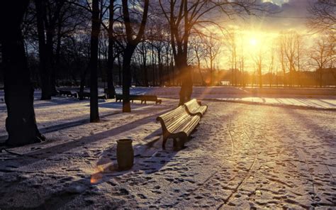 Winter Park Sunset Wallpaper 2560x1600