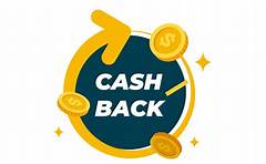 Exclusive Costcos Visa Offers Unmatched Cash Back