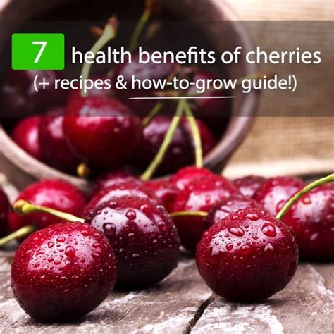 The Top 7 Sweet Health Benefits Of Cherries Recipes And ‘how To Grow Guide Healthwholeness