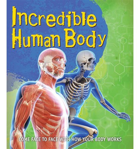 Incredible Human Body Come Face To Face With How Your Body Works