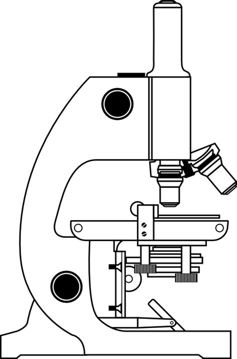 Microscope Drawing And Label At Getdrawings Free Download