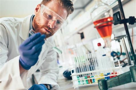 Estudante Atrativo Da Química Que Trabalha No Laboratório Foto De Stock