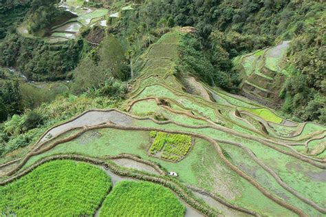 Banaue Rice Terraces A National Cultural Treasure In Ifugao Go Guides