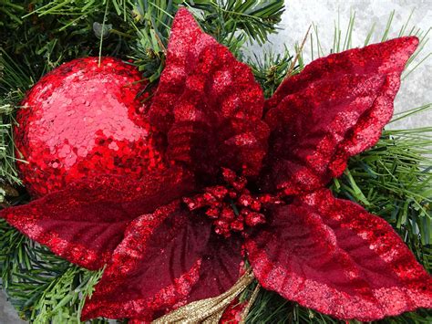 Christmas Flower And Red Bauble Free Stock Photo Public Domain Pictures