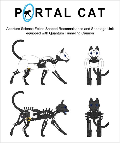Portal Cat Anatomy By Chimajra On Deviantart