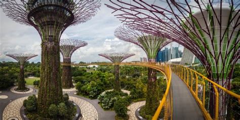 singapore s gardens by the bay is absolutely breathtaking realitypod