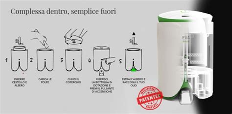 Hip trauma, indefinite separate training. "Ciro Immobile investe nella calabrese Revoilution: il ...