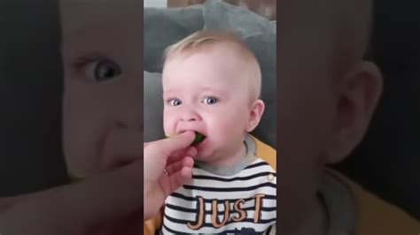 Babies Eating Lemons For The First Time Compilation Part 2 YouTube
