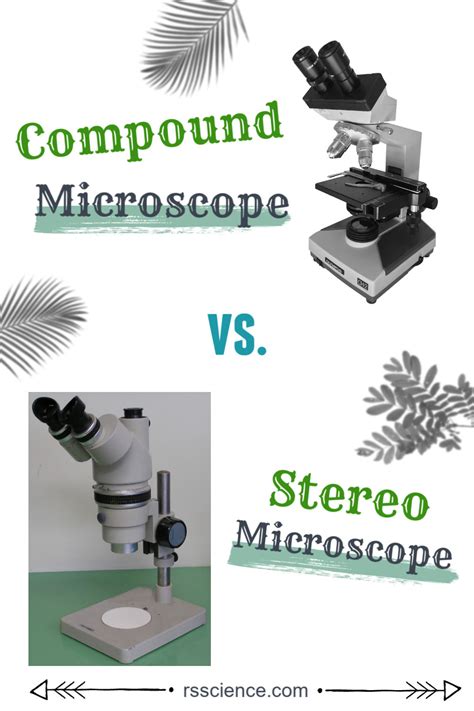 How To Choose The Right Microscope Compound Microscope Vs Stereo