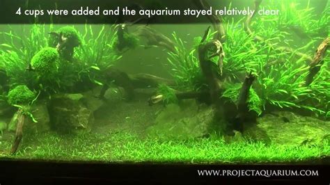 How To Put Soil In Aquarium Aquarium Views