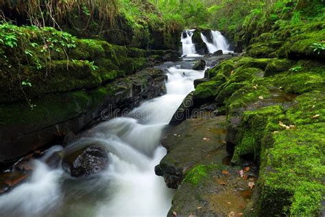 Beautiful Irish Waterfall Stock Photo Image Of Grass 24528174